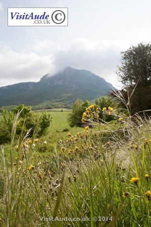 east view of Bugarach