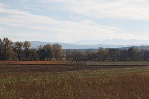 Pyrenees view from Malviès