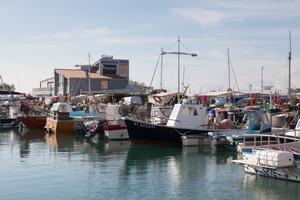 Fishing boats at Cap d'Agde