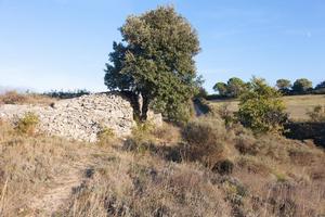 Sentier de Chapelle Saint Roch